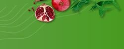 A pomegranate half with scattered seeds beside green leaves on a green background, symbolic of antioxidant-rich fruits that complement the health benefits of Monolaurin, a nutrient derived from fruits like coconuts.