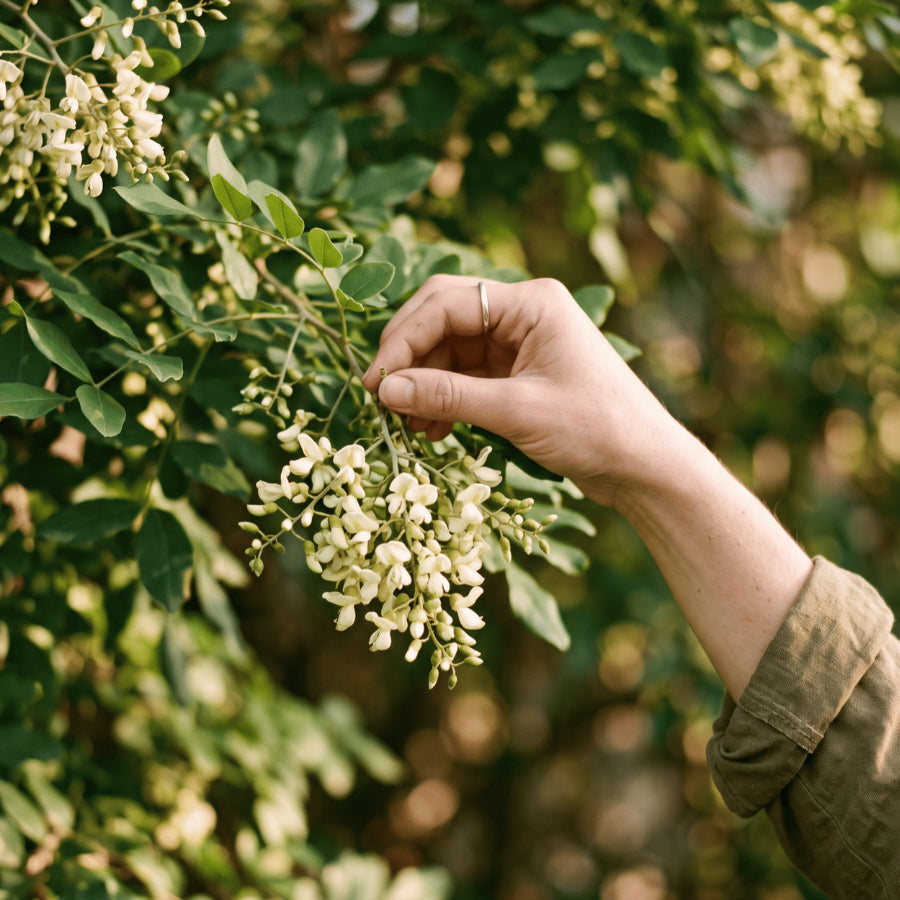 9 Natural Ways to Support Your Immune System – NCL (Natural Cure Labs)