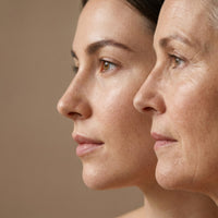 What Is the Connection Between L-Lysine and Collagen Production?