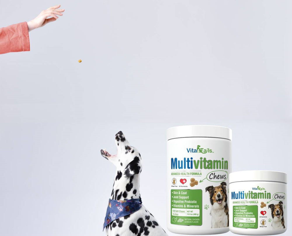 Natural Cure Labs Launches New Pet Nutrition Line: VitaTails