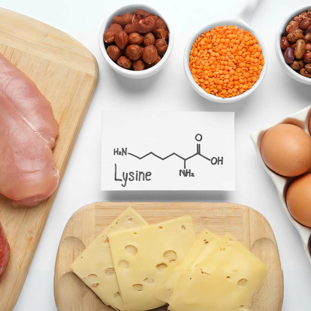 Foods to Maximize Your Lysine Intake
