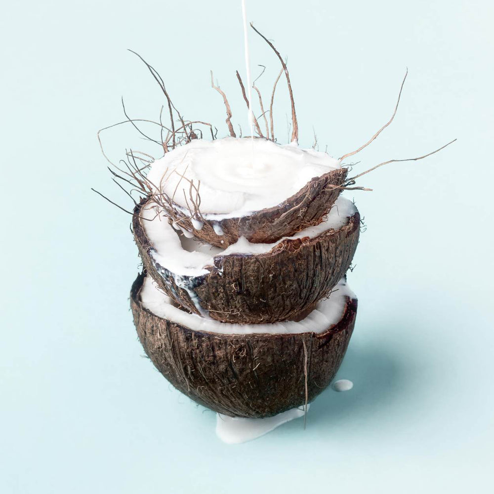 What’s the Best Source of Monolaurin