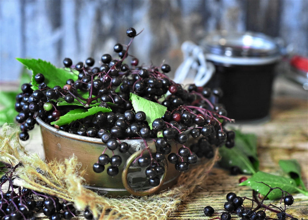 Customer Demand For Elderberry Supplements Is Up By An Incredible 17,000 Percent