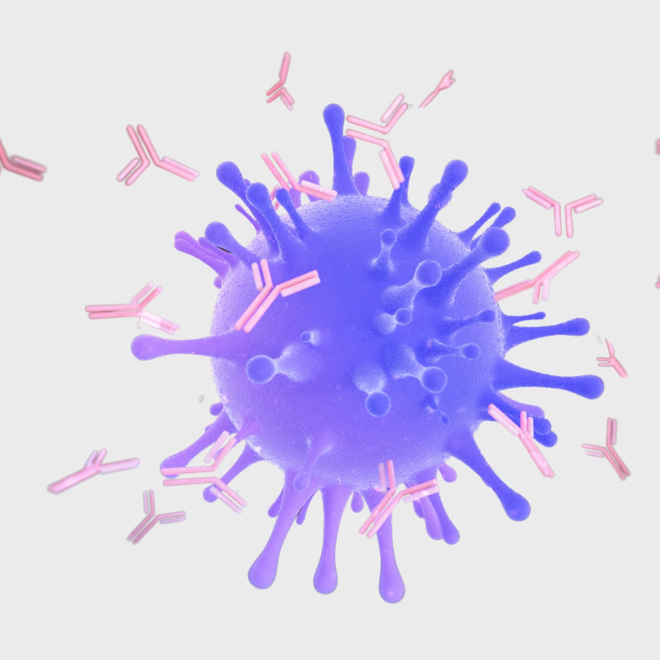 What Do Antibodies Do