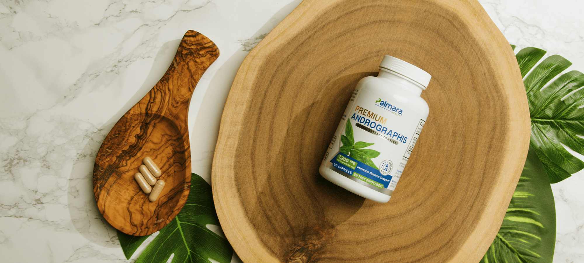 Palmara Health Brand