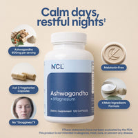 Premium KSM-66 Ashwagandha with Magnesium, L-Theanine & B6 120-ct