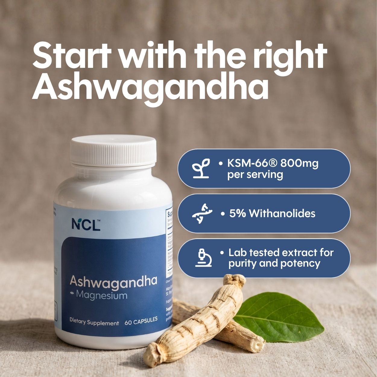 A bottle of NCL Ashwagandha + Magnesium dietary supplement is shown on a rustic beige background with white text reading 'Start with the right Ashwagandha' and three blue callout badges highlighting KSM-66 800mg per serving, 5% withanolides, and lab-tested extract. Raw ashwagandha roots and a green leaf are placed in front of the bottle.