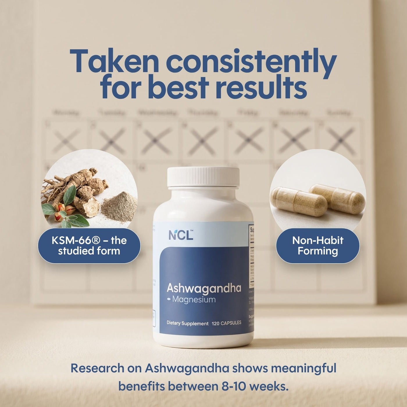 Premium KSM-66 Ashwagandha with Magnesium, L-Theanine & B6 120-ct