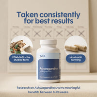 Premium KSM-66 Ashwagandha with Magnesium, L-Theanine & B6 120-ct