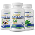 Best Seller Bundle