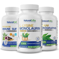 Best Seller Bundle