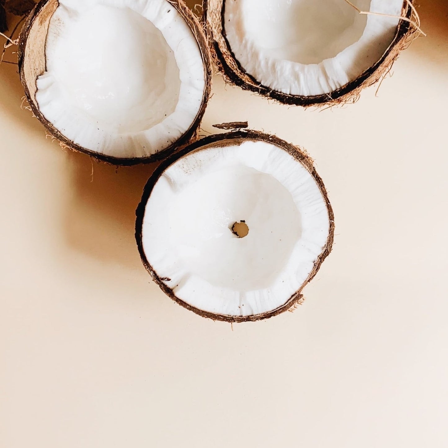 A top-down view of halved coconuts on a beige background, illustrating the natural source of Monolaurin, a substance derived from coconut oil with potential antimicrobial properties.