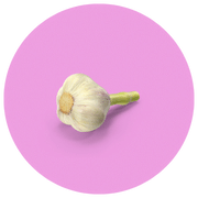 A simple image of a single garlic bulb with a pink background, centered within a pink circular frame.