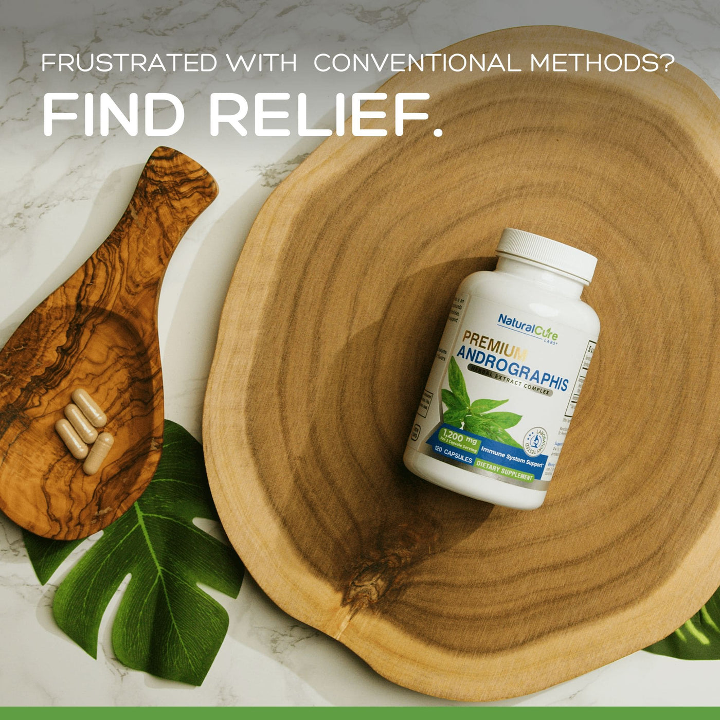 Natural Cure Premium Andrographis Supplements For Immune Support.