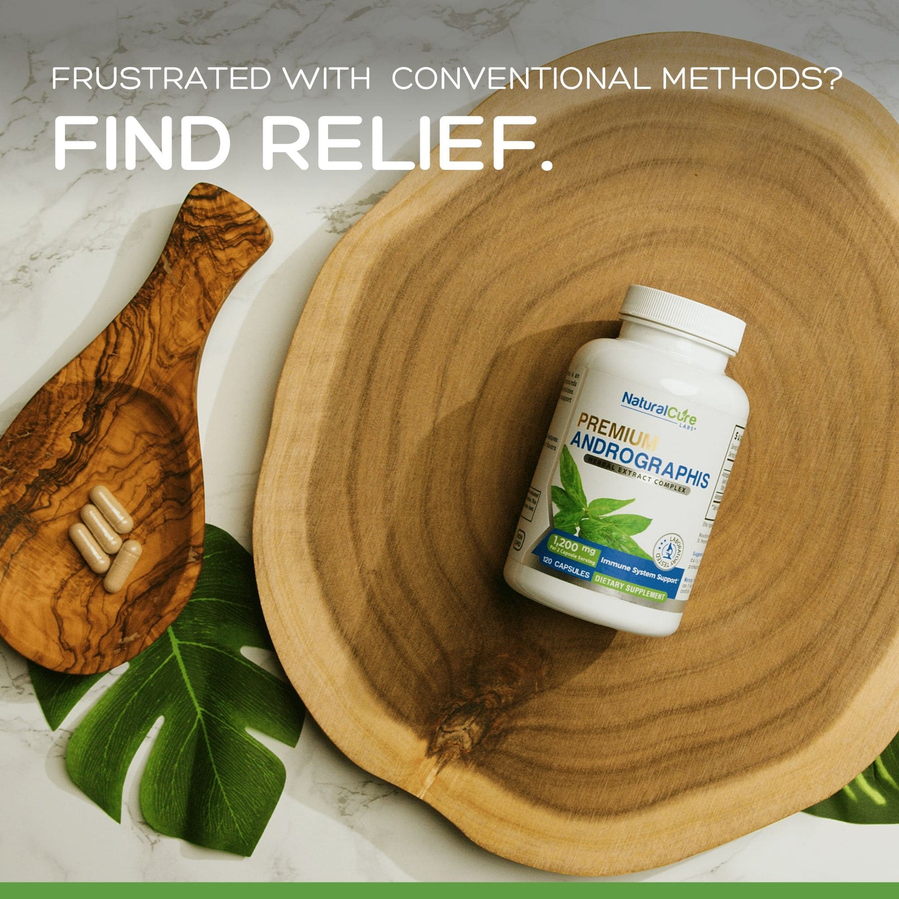 Natural Cure Premium Andrographis Supplements For Immune Support.