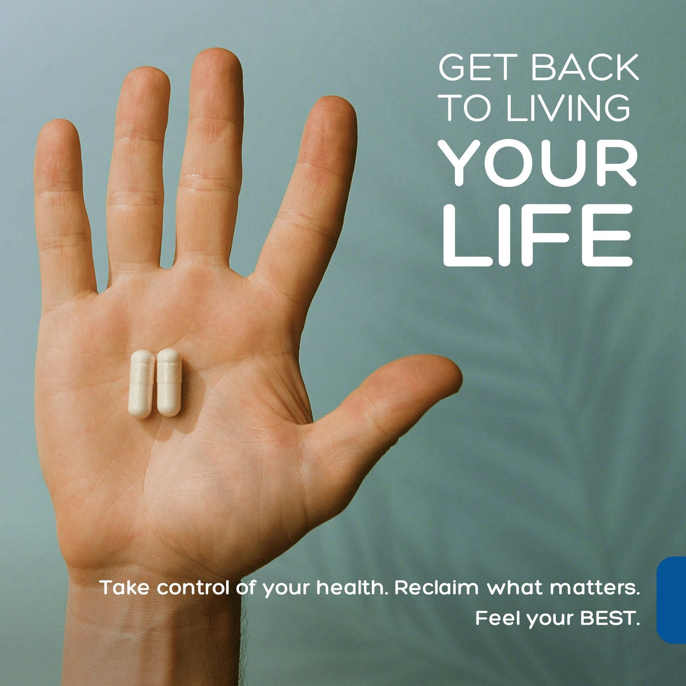 L-Lysine + Monolaurin, Premium Immune Support, and Premium Andrographis for health