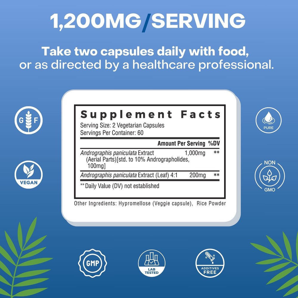 
                  
                    A detailed label on a Palmara Health Andrographis supplement bottle showcasing serving size, ingredients, and recommended usage, reflecting the brand's commitment to quality and consumer education.
                  
                