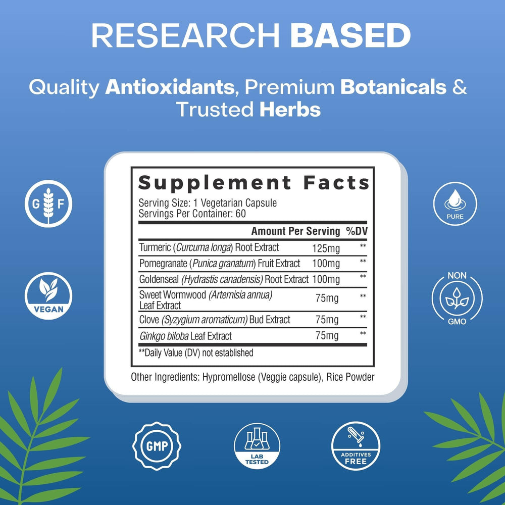 
                  
                    The supplement facts for Palmara Health's biofilm dietary supplement, listing antioxidants and botanicals like turmeric and pomegranate, known for their biofilm-disrupting properties.
                  
                
