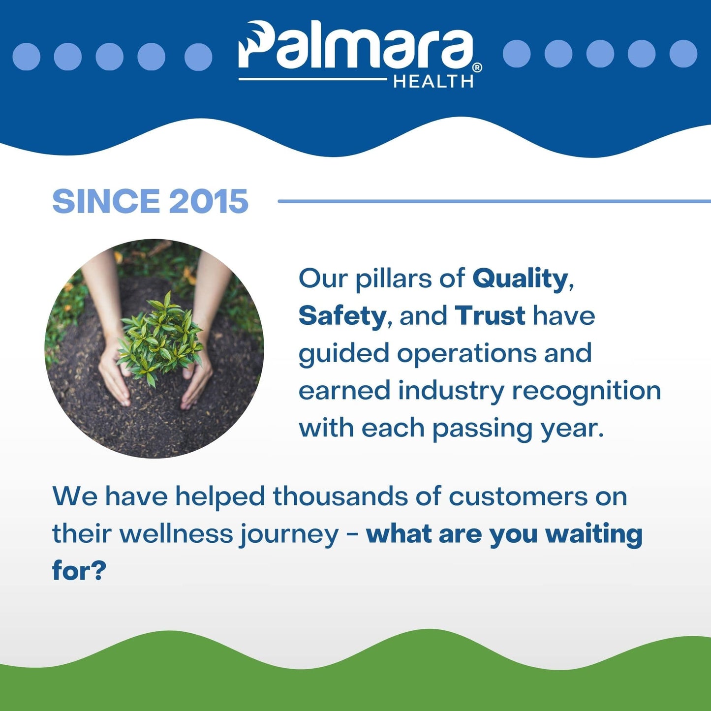 
                  
                    Brand statement from Palmara Health, stressing their commitment to leveraging monolaurin benefits in their products since 2015, with a focus on quality, safety, and trust for customer health.
                  
                