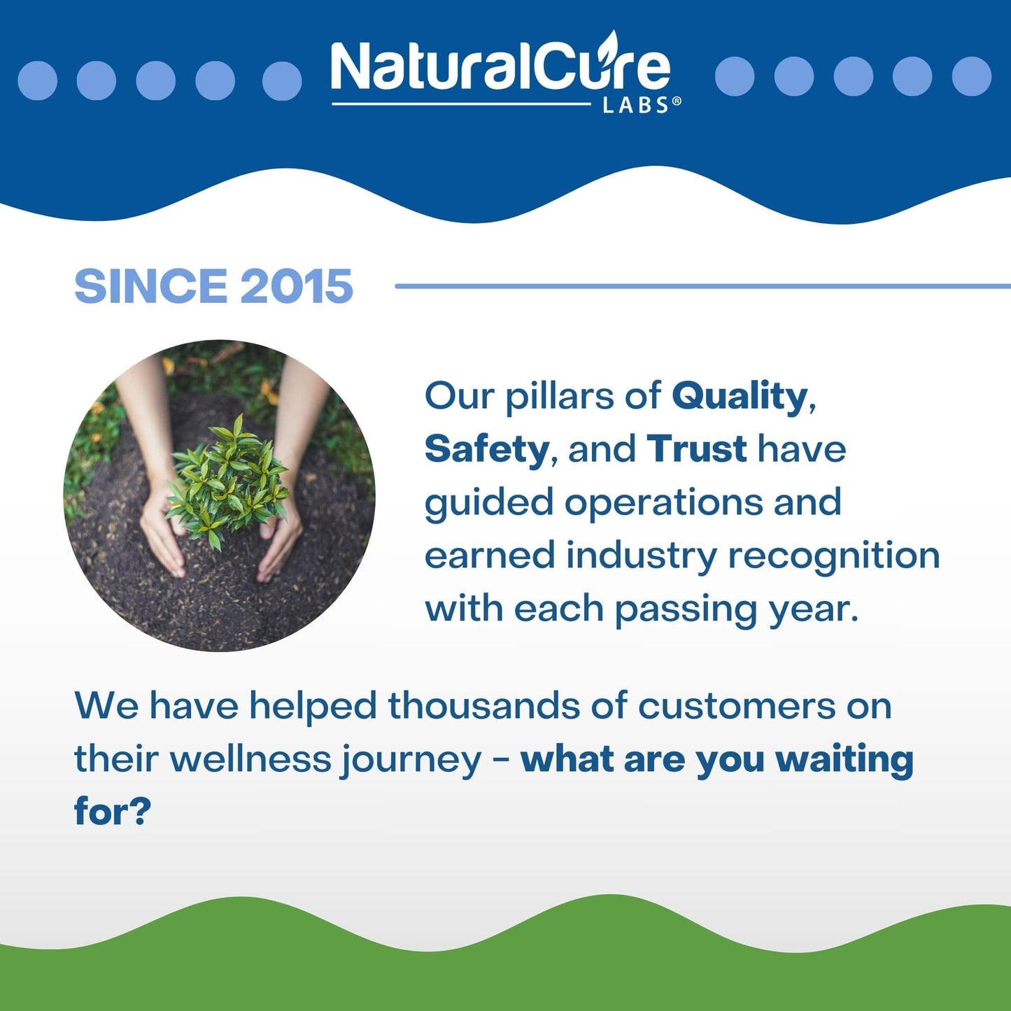 
                  
                    A promotional banner for NaturalCure Labs since 2015, focusing on the company's commitment to quality, safety, and trust in their Andrographis supplements.
                  
                