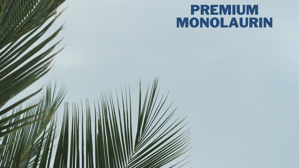
                  
                    Cargar y reproducir video en el visor de la galería, Palmara Health Monolaurina Premium 600 mg
                  
                