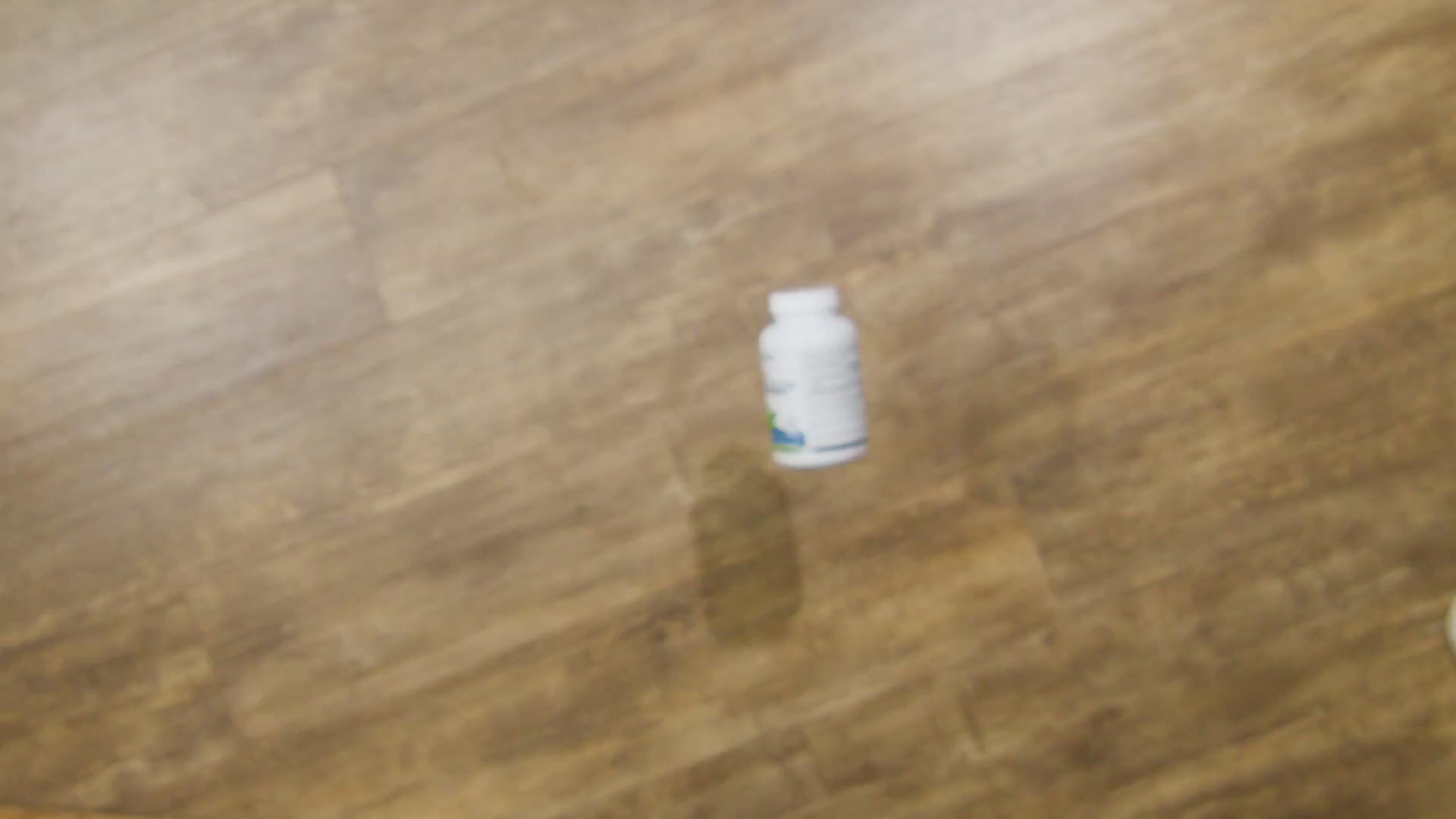 Palmara Premium Andrographis video highlighting immune and digestive health benefits.
