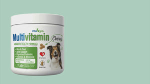 
                  
                    Load and play video in Gallery viewer, Multivitamin Soft Chews for Dogs - 60 Count
                  
                