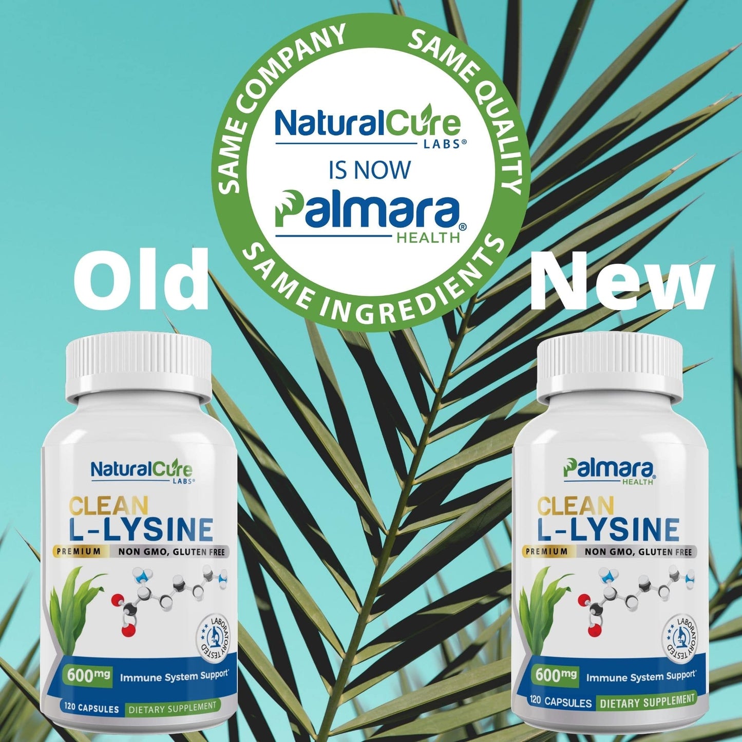 
                  
                    Image displaying two bottles of Clean L-Lysine supplements to announce a rebranding: the left bottle is labeled "Old" with the NaturalCure Labs brand, and the right bottle is labeled "New" with the Palmara Health brand, both containing 600mg of the product. A circular badge in the center states "SAME COMPANY, SAME QUALITY, SAME INGREDIENTS, NaturalCure Labs IS NOW Palmara Health," set against a backdrop of tropical leaves and a blue sky, emphasizing continuity despite the brand change.
                  
                