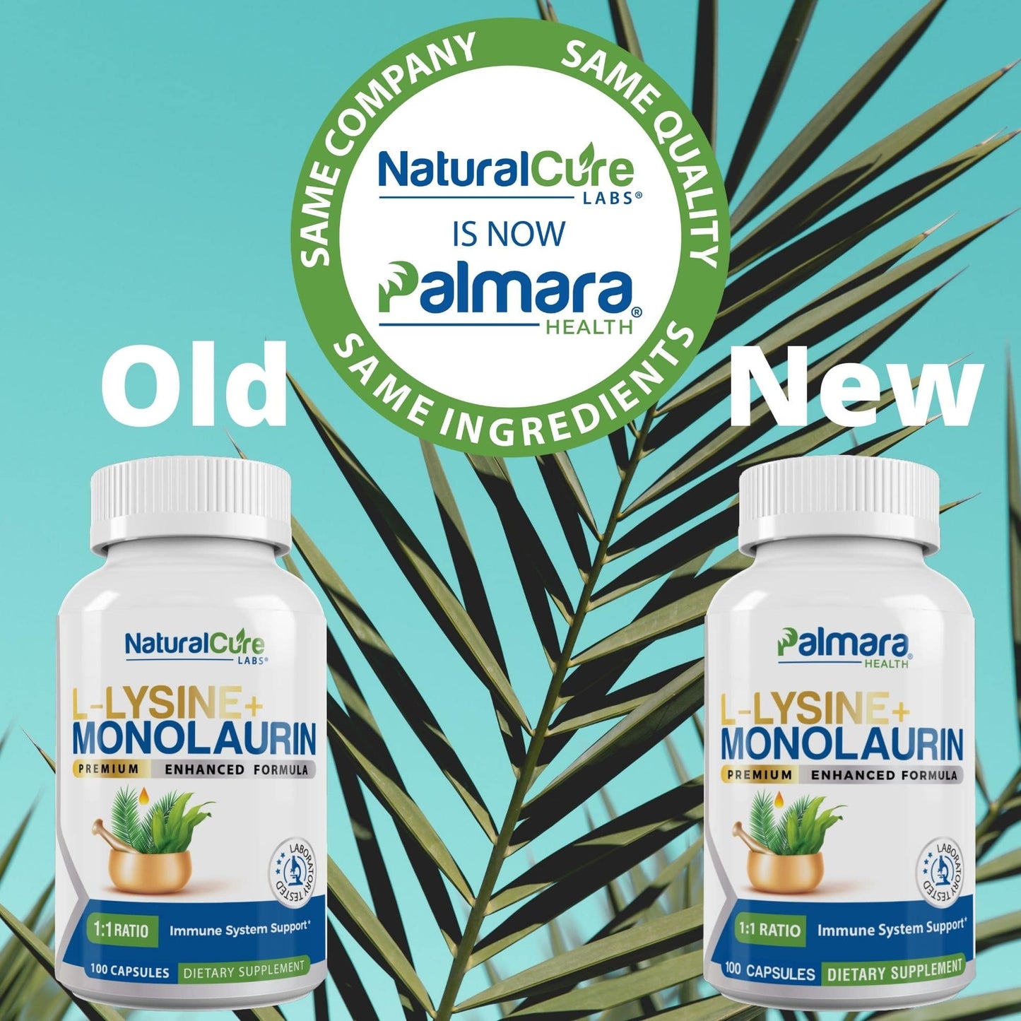 
                  
                    Image showcasing a rebranding transition from Natural Cure Labs to Palmara Health, with two bottles of L-Lysine + Monolaurin supplements side by side. 
                  
                