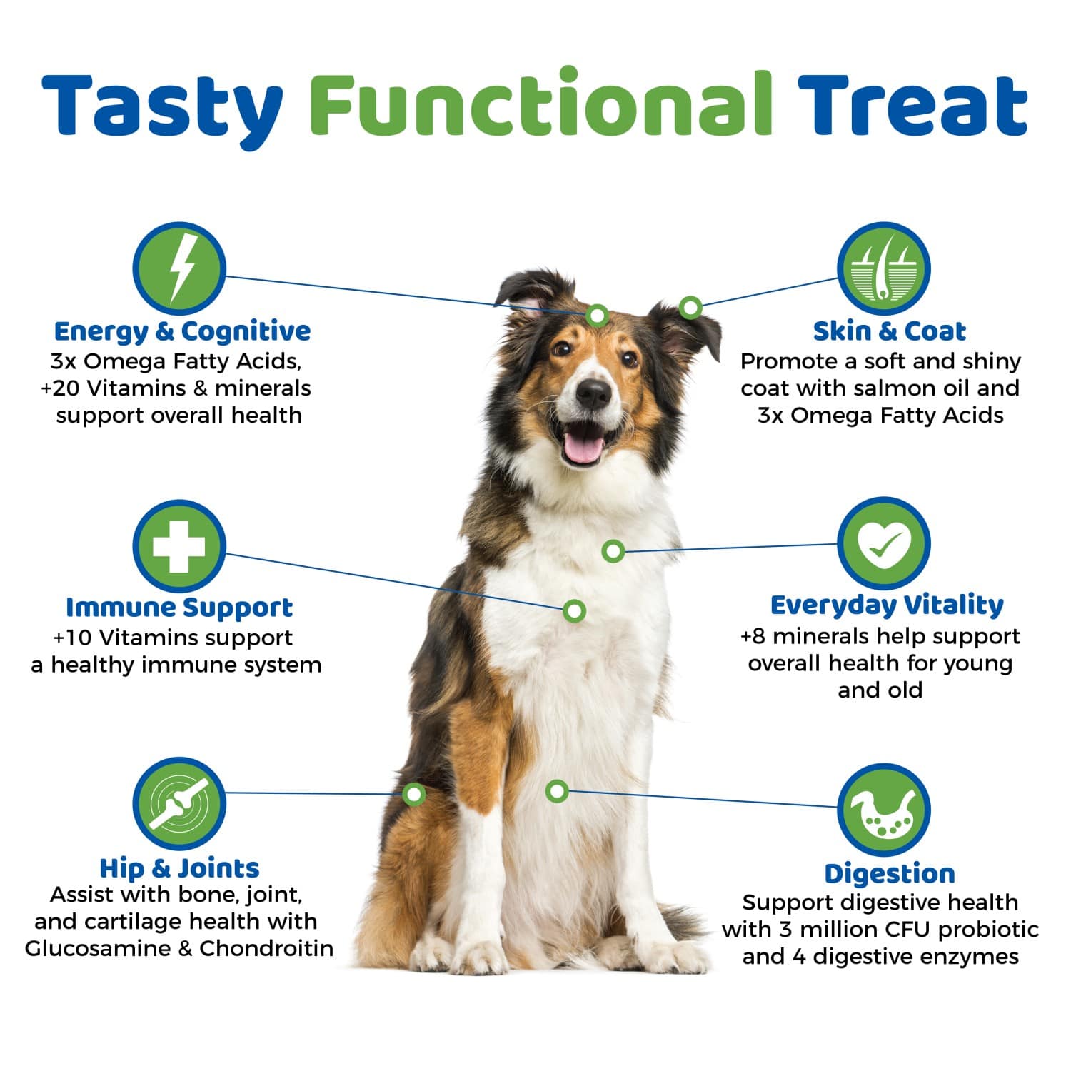 VitaTails dog supplement benefits for energy, skin, immunity, joints and vitality.