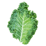 Kale