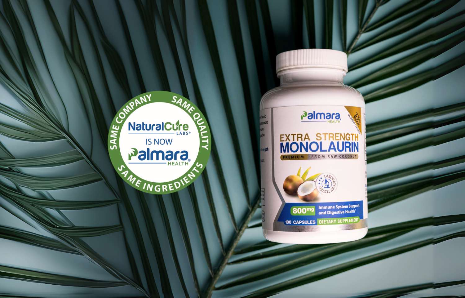 Palmara Health Extra Strength Monolaurin bottle on palm leaves with a stamp reading: NCL is now Palmara Health. Same company. Same quality. Same ingredients.